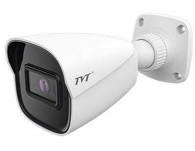 TD-9421S1(D/PE/IR1) CAMERA (CR14/2.8mm)